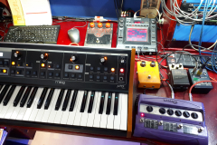 3-MoogFx